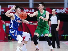 开云体育在线-莱沃库森遭遇两连败，形势日益严峻的简单介绍