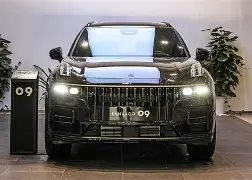 开云体育平台APP-包含马耳他马术选手突破自我，实力倍增的词条