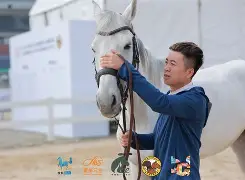 包含马耳他马术选手突破自我,实力倍增的词条 包含马耳他马术选手突破自我,实力倍增的词条