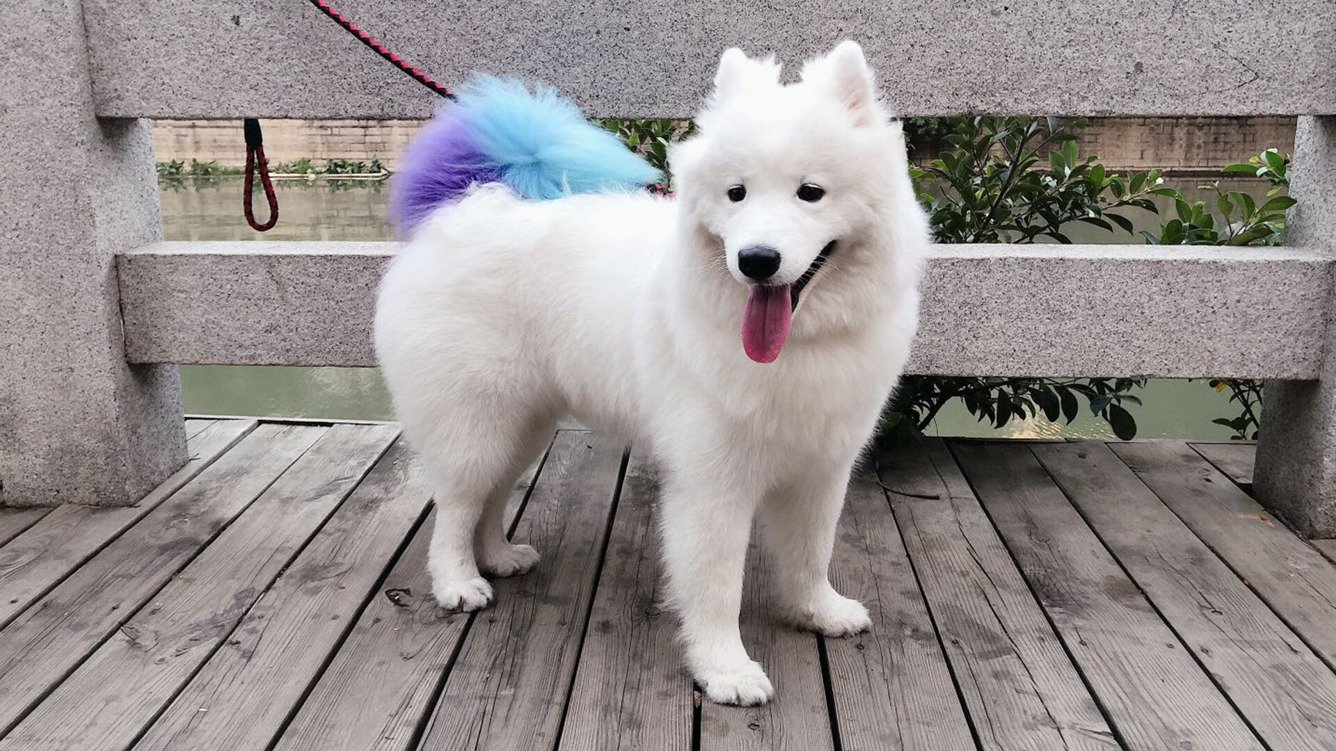 开云体育-马里横扫奥地利，布鲁诺上演帽子戏法荣膺关键先生