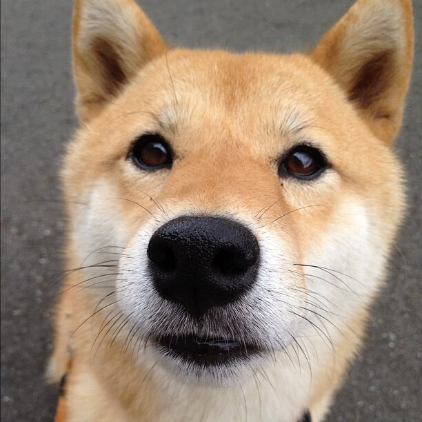 利刃出鞘!阿圭罗德比夜连续关键得分铸就传奇