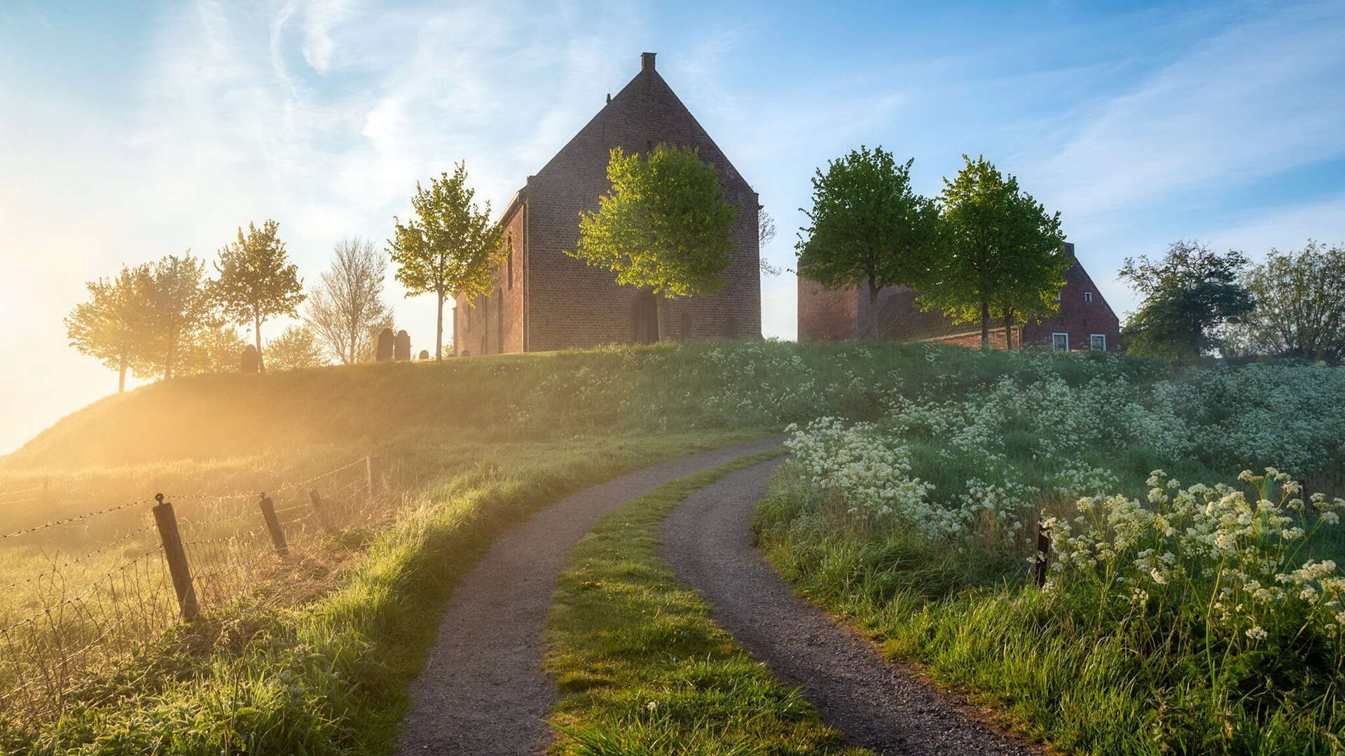 东决关键战，凯尔特人狂屠黄蜂，主场响彻拿下那该死的总冠军