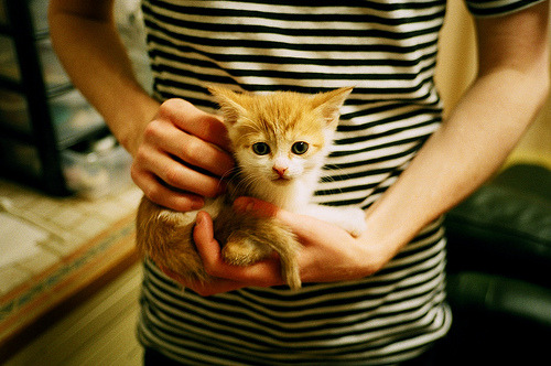 世界排名争夺战之夜，哈利伯顿的冠军级表演