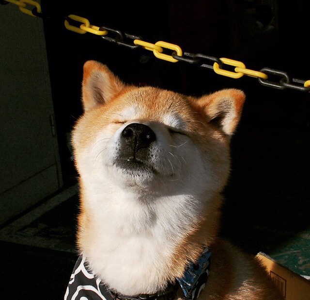 开云体育中国-北欧风暴席卷威斯特法伦，京多安精准制导终结多特蒙德