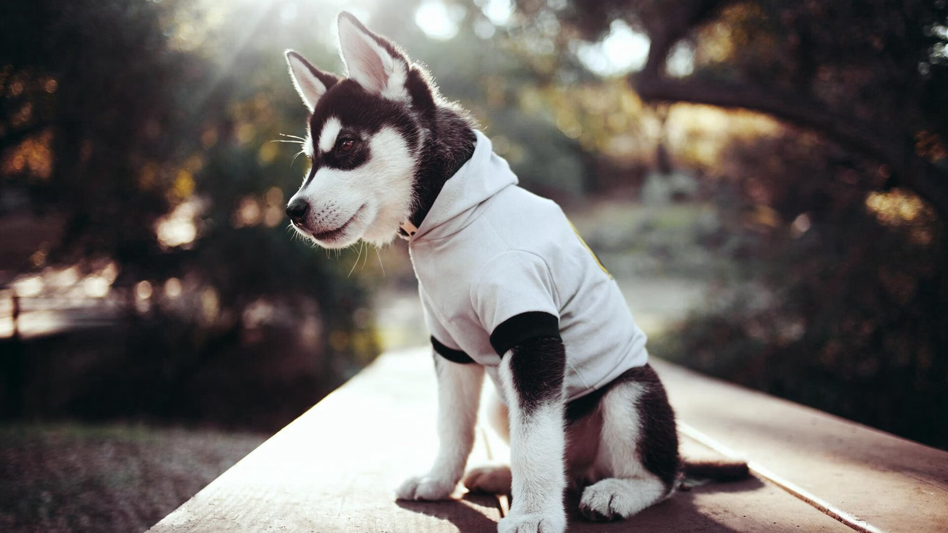 -莫德里奇关键战不手软，法国力量逆转皇马传奇