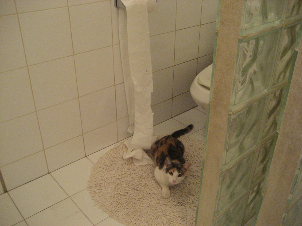 开云APP-美加墨世界杯焦点战，切尔西节奏如何重塑南非足球格局