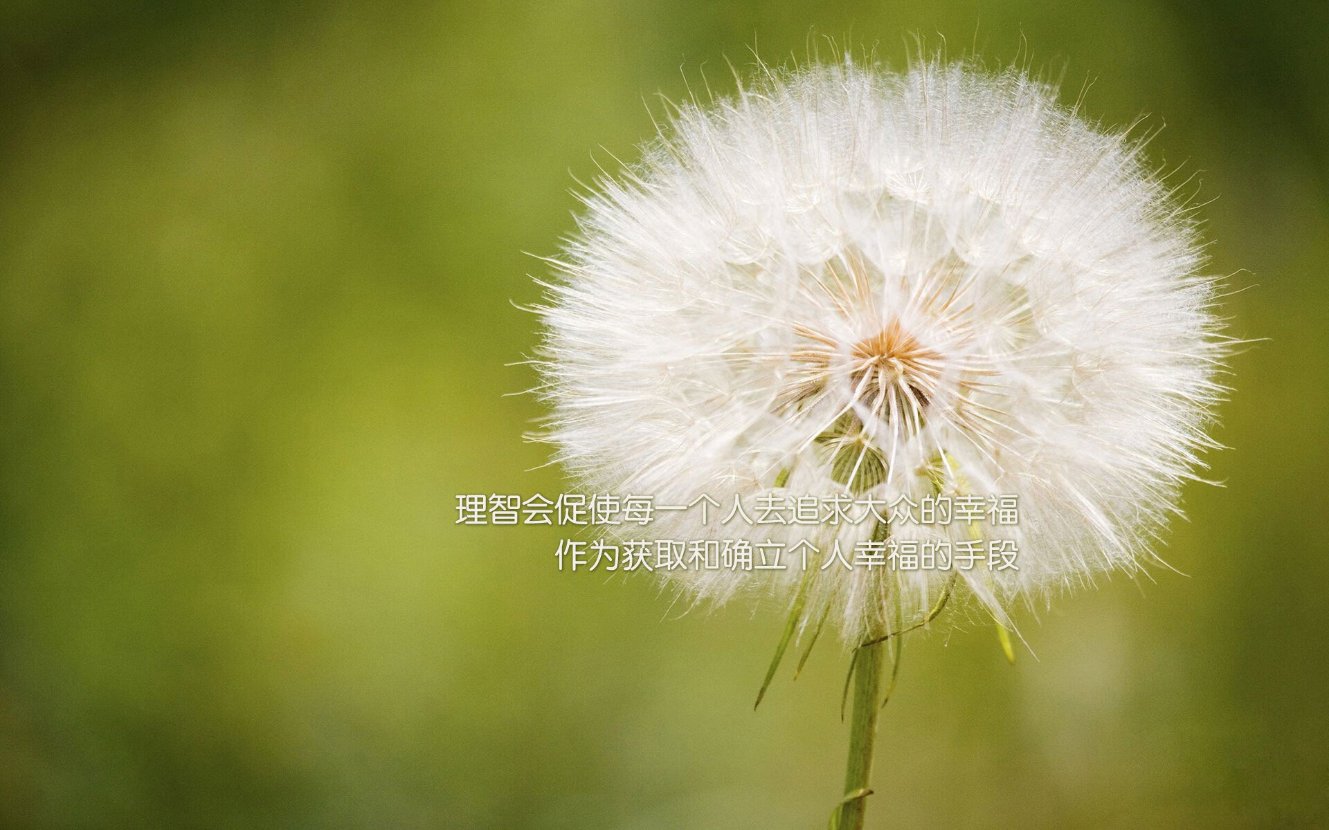 贝林厄姆的加冕夜，年度焦点之战，19岁少年在比利亚雷亚尔升起