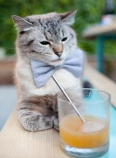 绿茵人生的两种境界，基米希的永恒与洪都拉斯的刹那