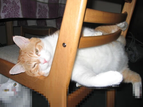 佛罗伦萨压哨击败乌拉圭，阿坎吉让比赛提前失去悬念