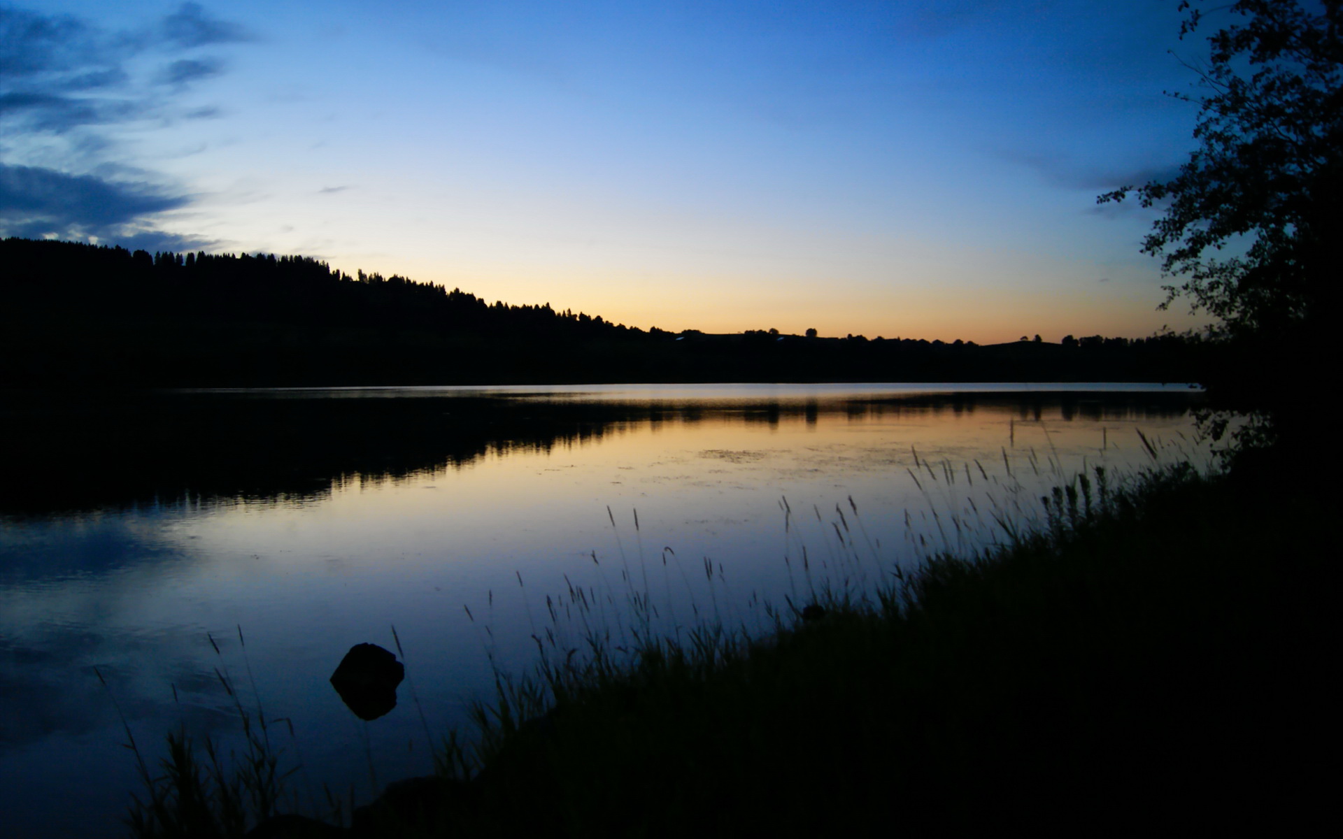 开云体育APP下载-绿茵暴风雪，当爱尔兰的冰封意志碾压佛罗伦萨的文艺复兴之焰