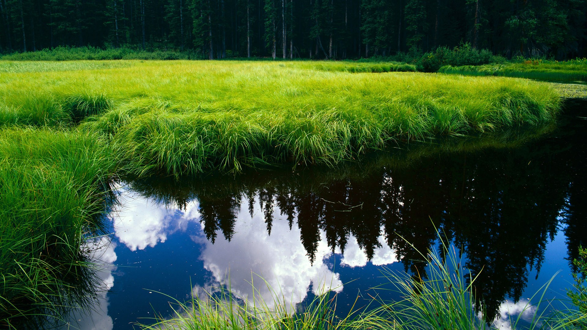 马克西的降维打击，奇才与新疆一战背后的篮球维度差异