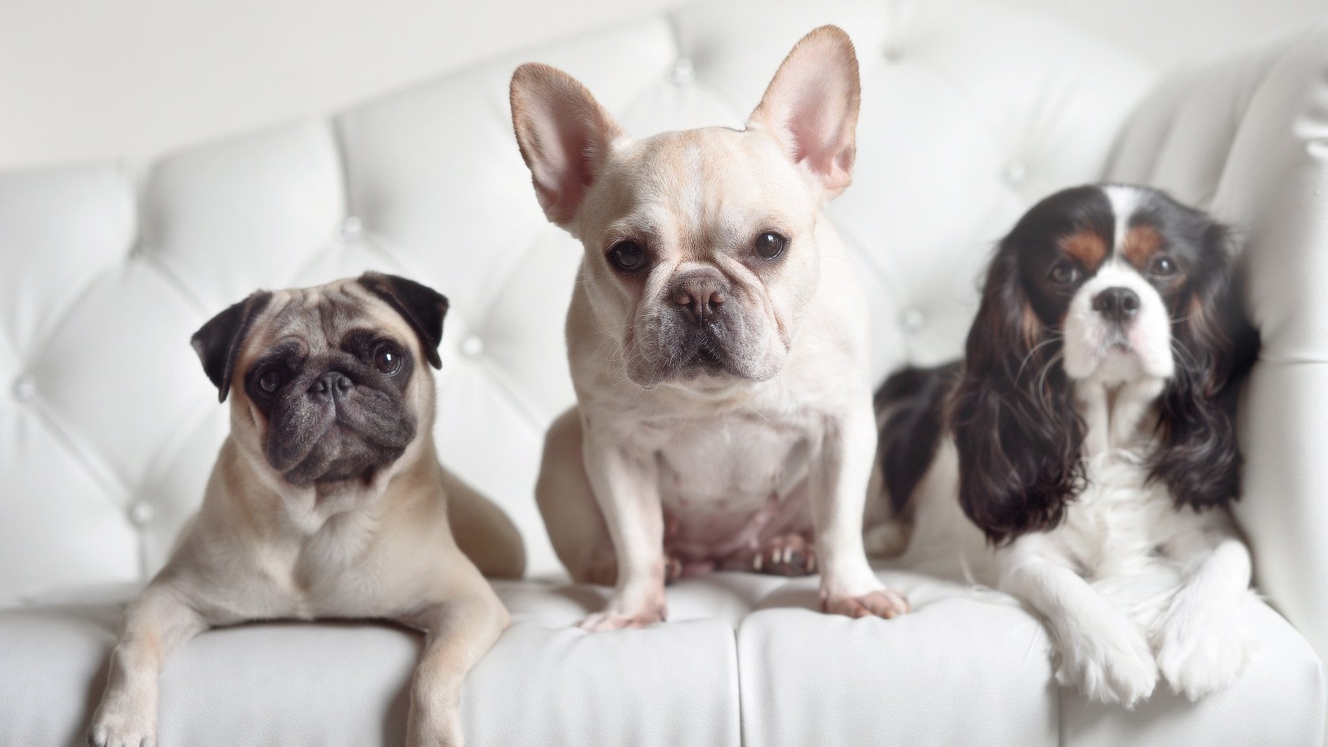 开云体育APP下载-当篮球遇上足球，莫德里奇的抢七之夜跨越时间