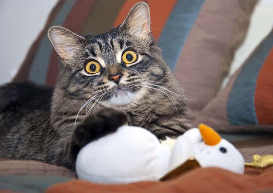 开云体育在线-破晓之战，莱万的光与暗，加纳踏平希腊的轰鸣