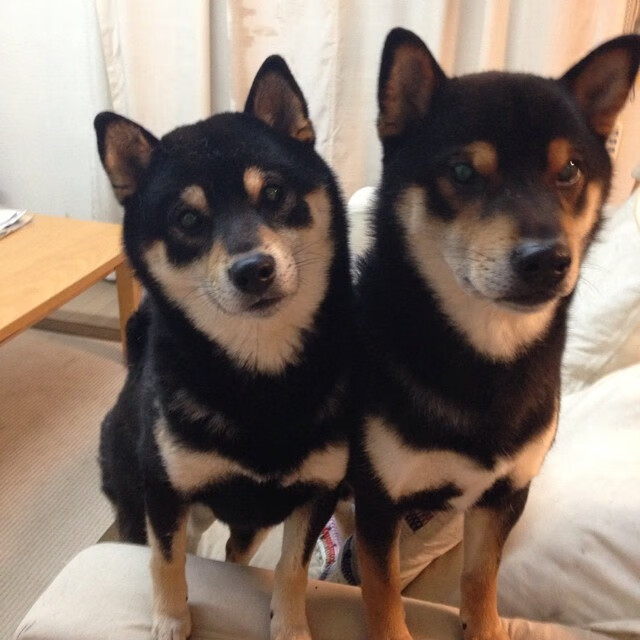 -跨越疆界的王者，当新疆铁骑遇上德甲詹姆斯